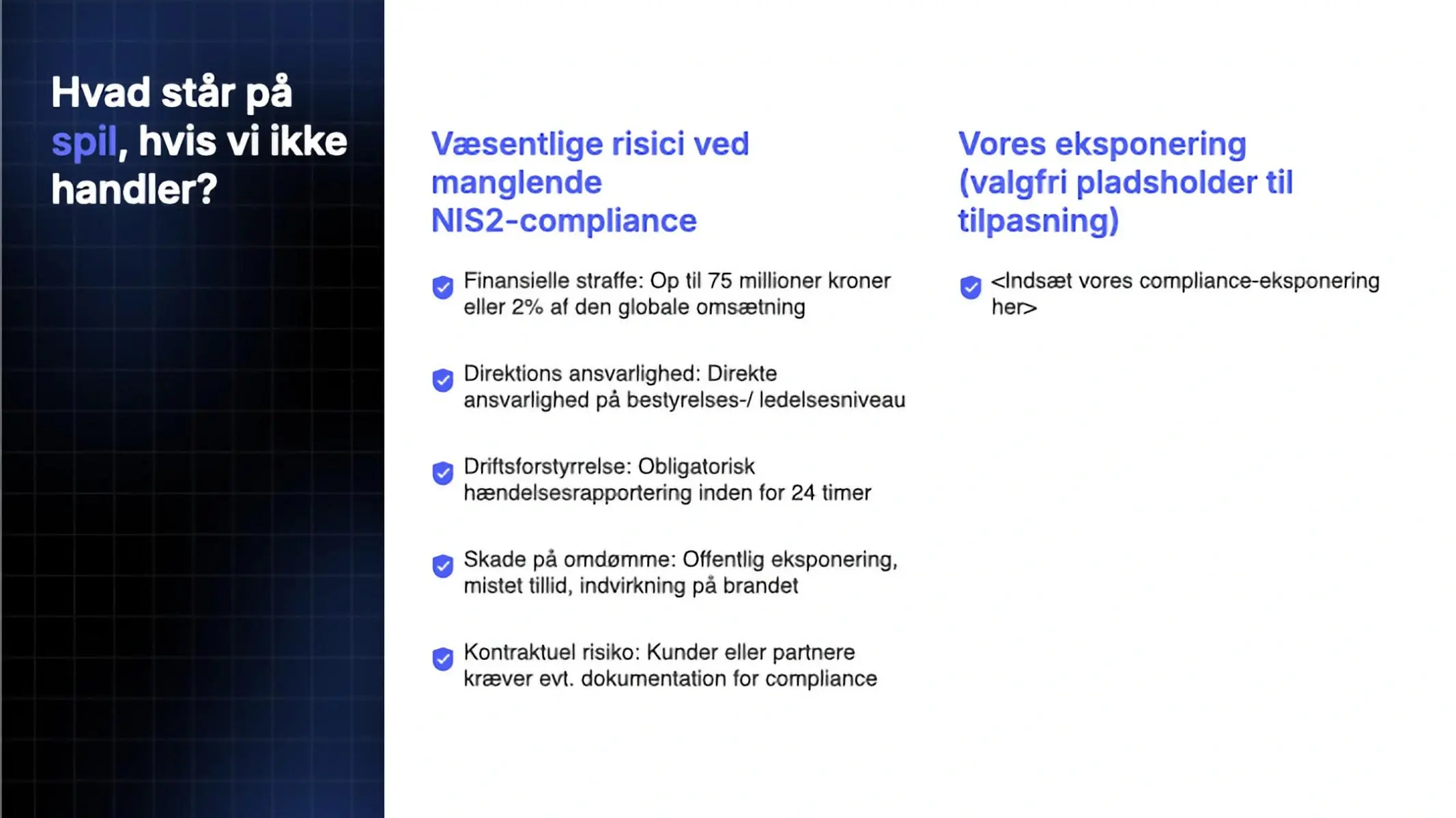 Stakeholder Presentation Preview Page 3